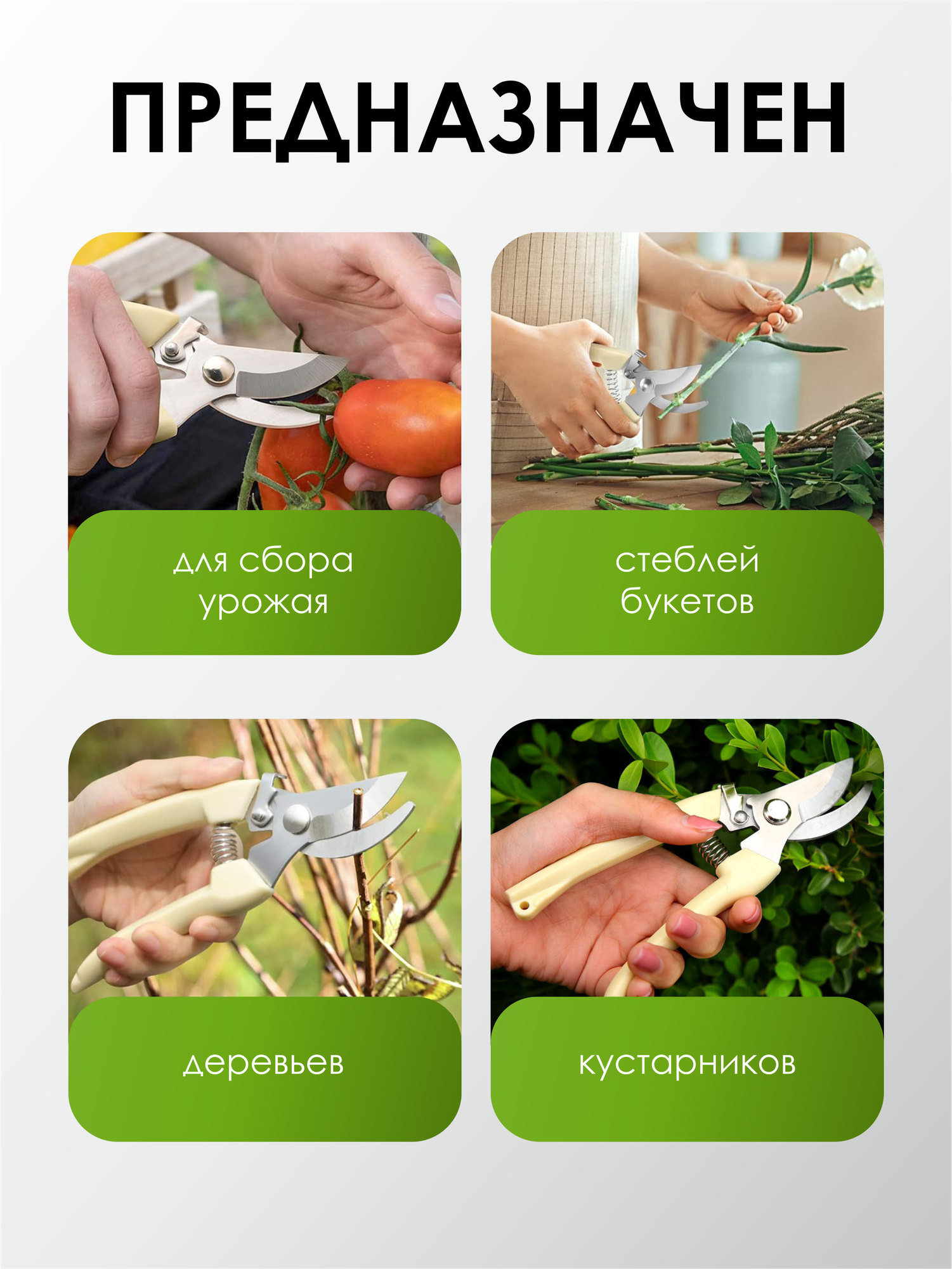 Секатор садовый, профессиональный, с фиксатором лезвий, 16,5 см, белый — фото 1