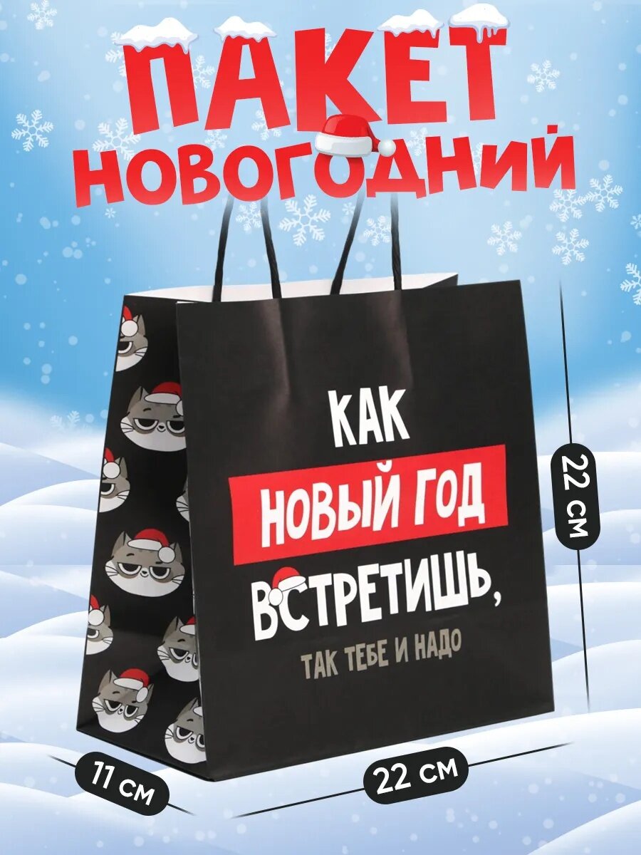 Подарочный пакет «Так тебе и надо», 22 х 22 х 11 см, черный, крафт, для упаковки подарка на Новый год