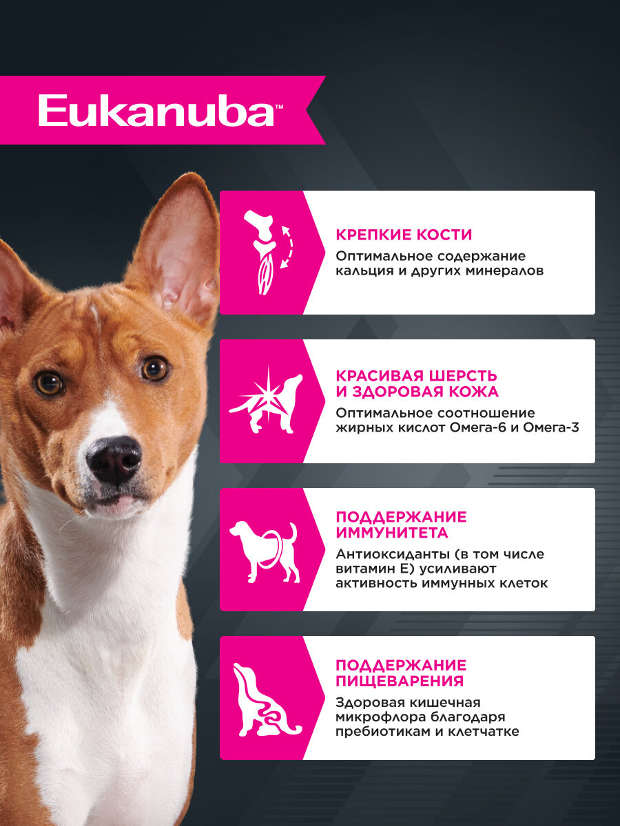 Влажный корм для собак Eukanuba Adult All Breed кусочки в соусе с птицей, 24 шт по 100 г — фото 1