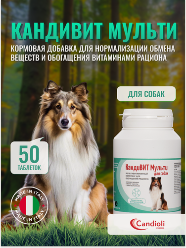 Изображение товара КандиВИТ Мульти для собак