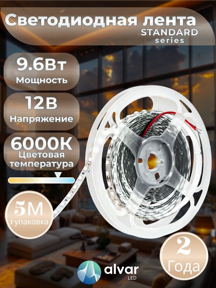 STANDARD 12В 9.6Вт 6000К холодная IP20 2835 120 LED светодиодная лента (в упаковке 5 метров)