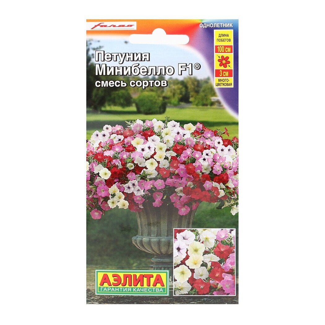 Семена Петуния мини Минибелло F1 смесь окрасок 7 шт
