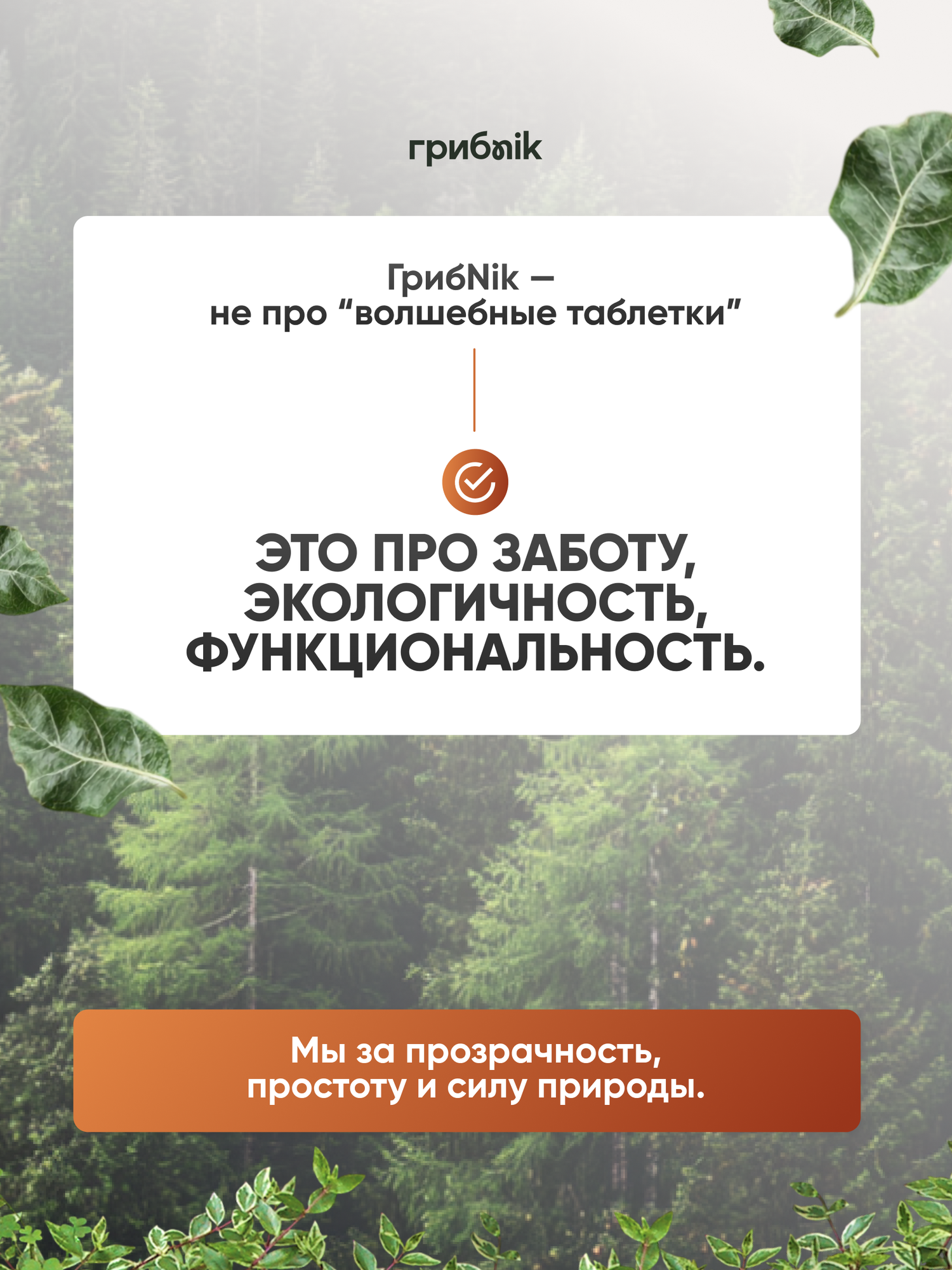 Мака перуанская для мужчин и женщин, для энергии, выносливости, потенции, 90 капсул, грибnik — фото 22