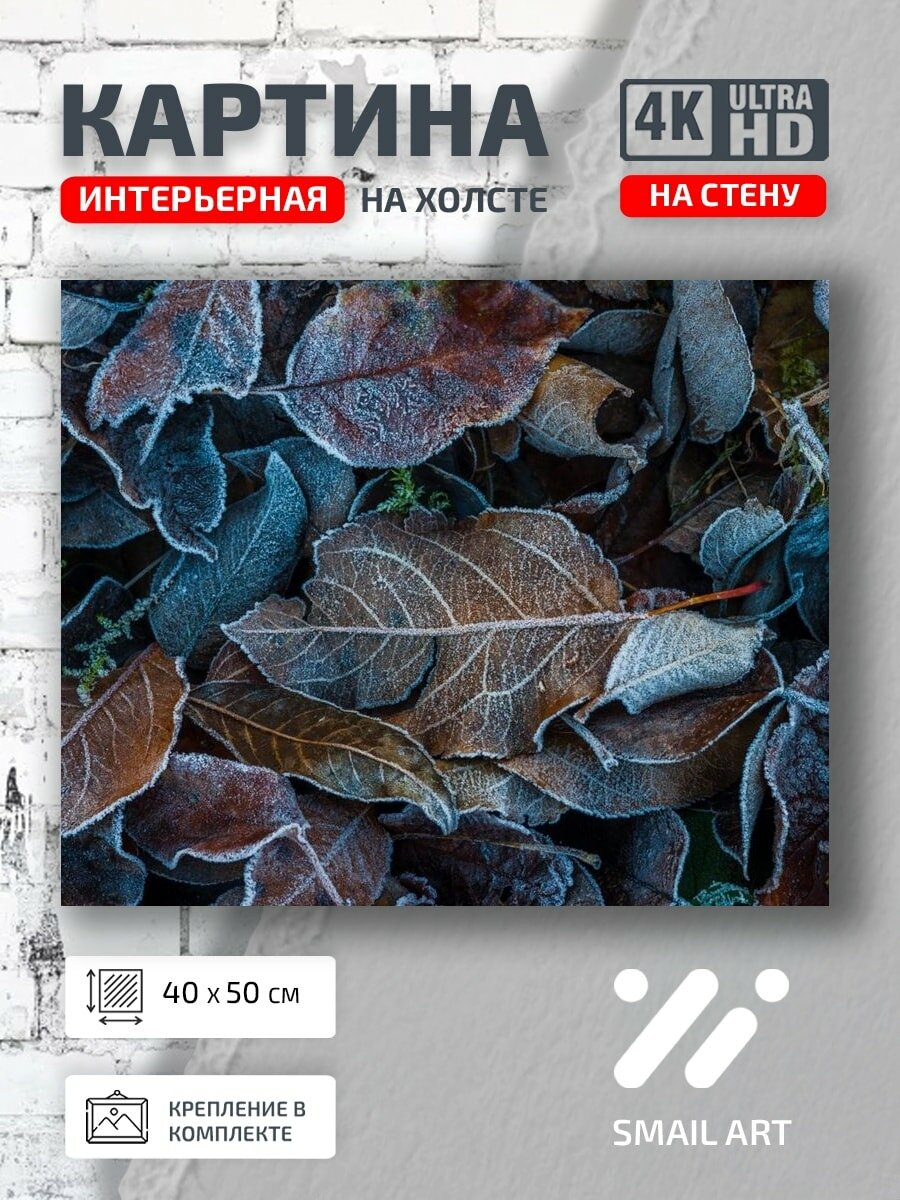 Картина на холсте интерьерная 40 на 50 на стену листья зимой для кафе пейзаж