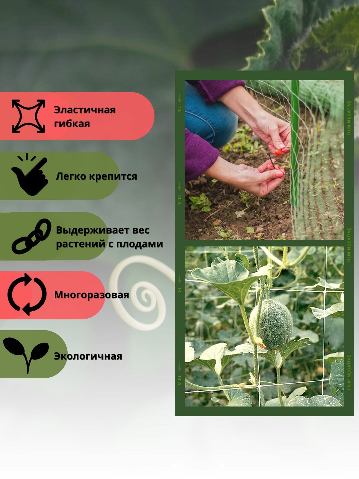 Сетка шпалерная 2 х 15 м — фото 1