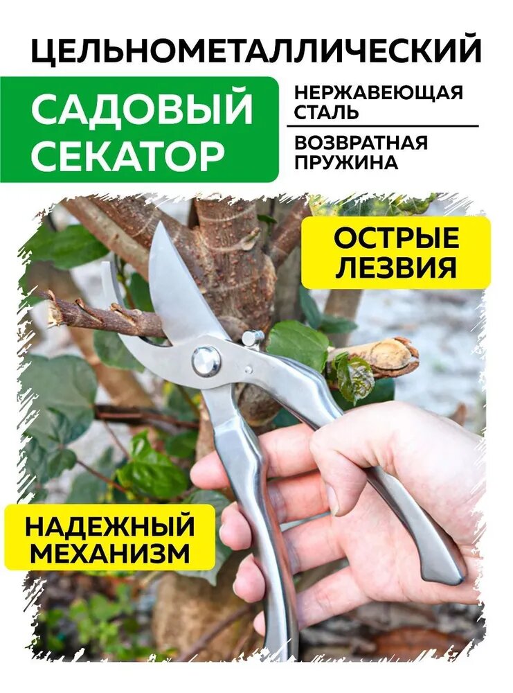 Home Dream Секатор