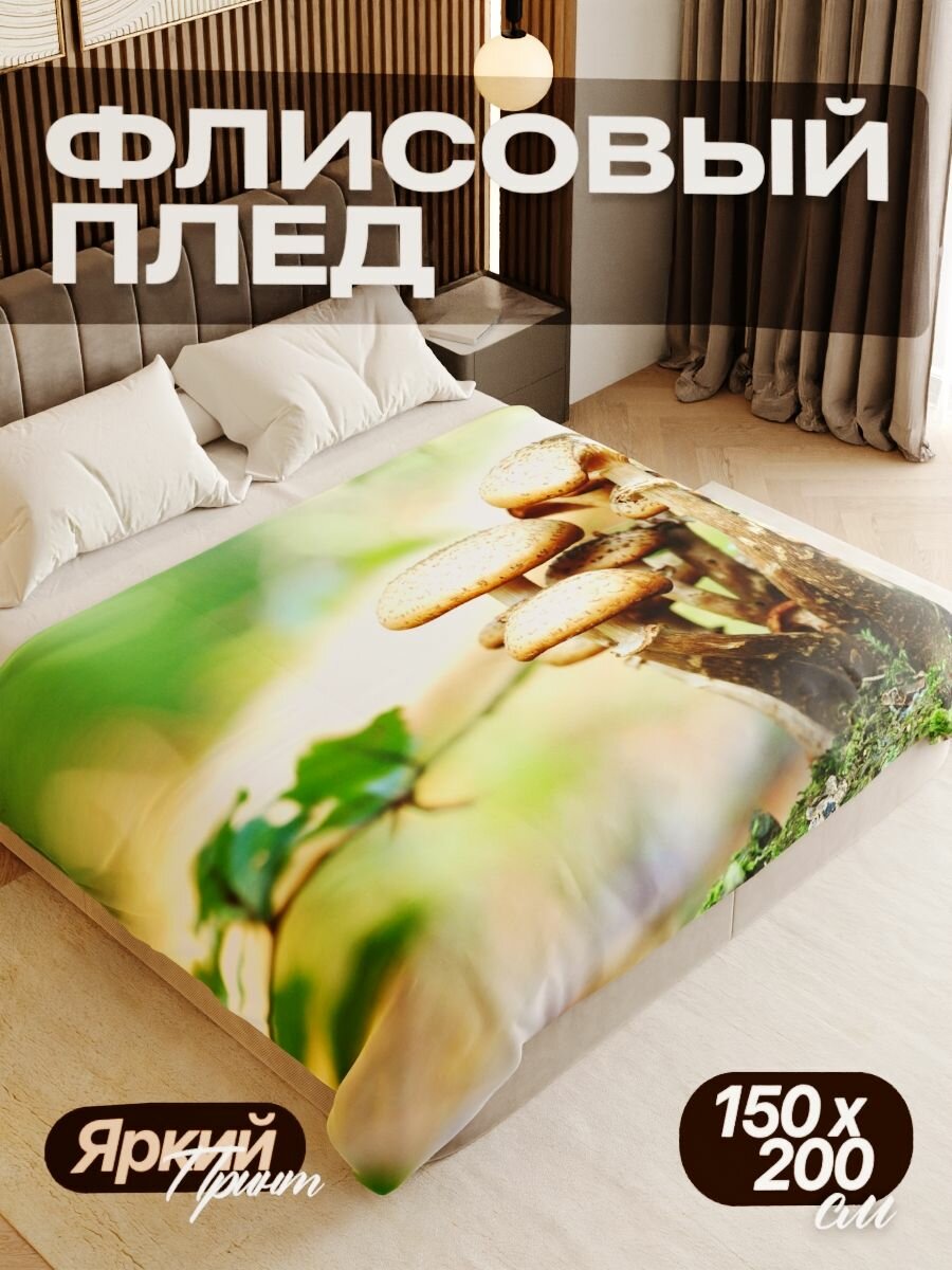 Плед флисовый 150х200 см мягкий теплый покрывало для дома