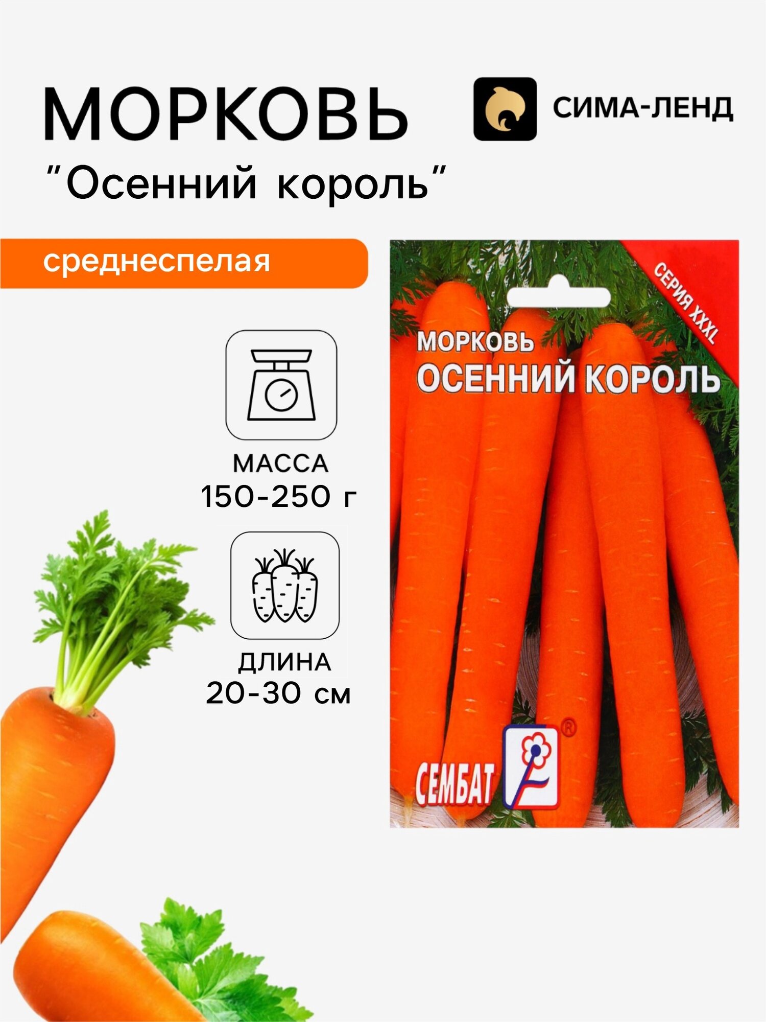 Семена ХХХL Морковь Осенний король. 2 упаковки