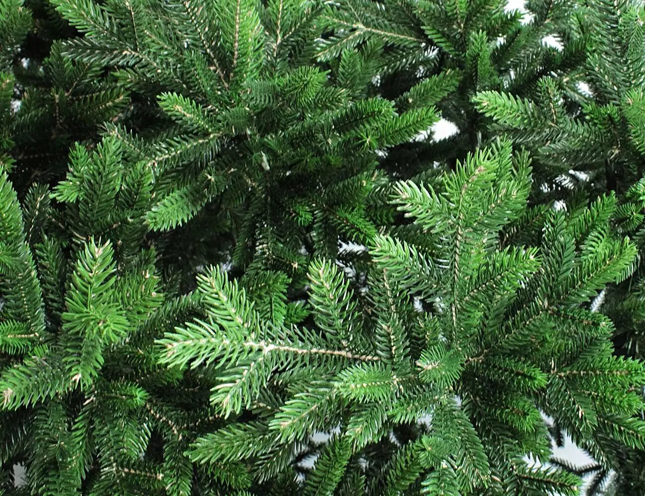 Искусственная елка Изумрудная 160 см литая 100% BEATREES