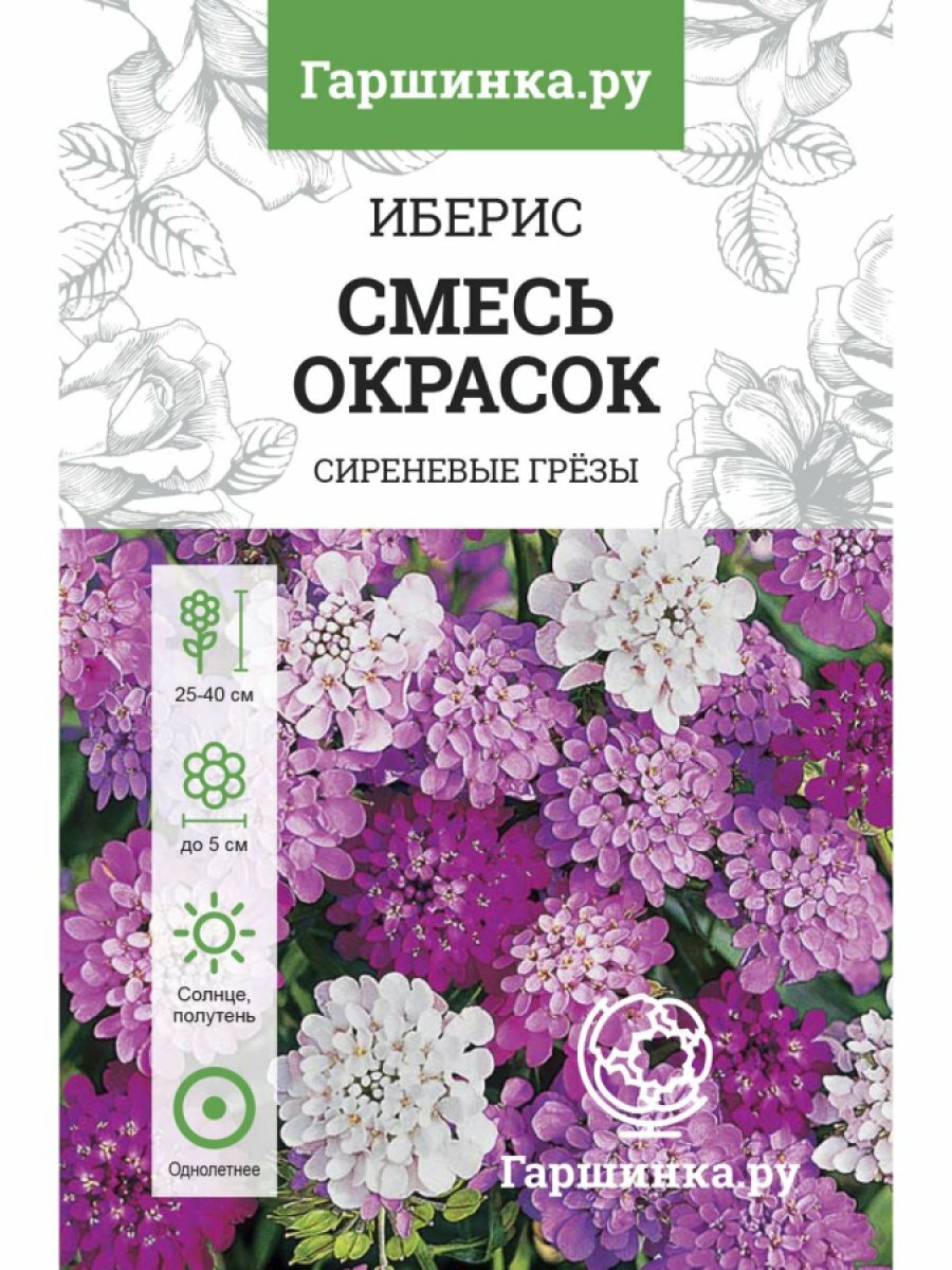 Семена Иберис зонтичный Смесь окрасок