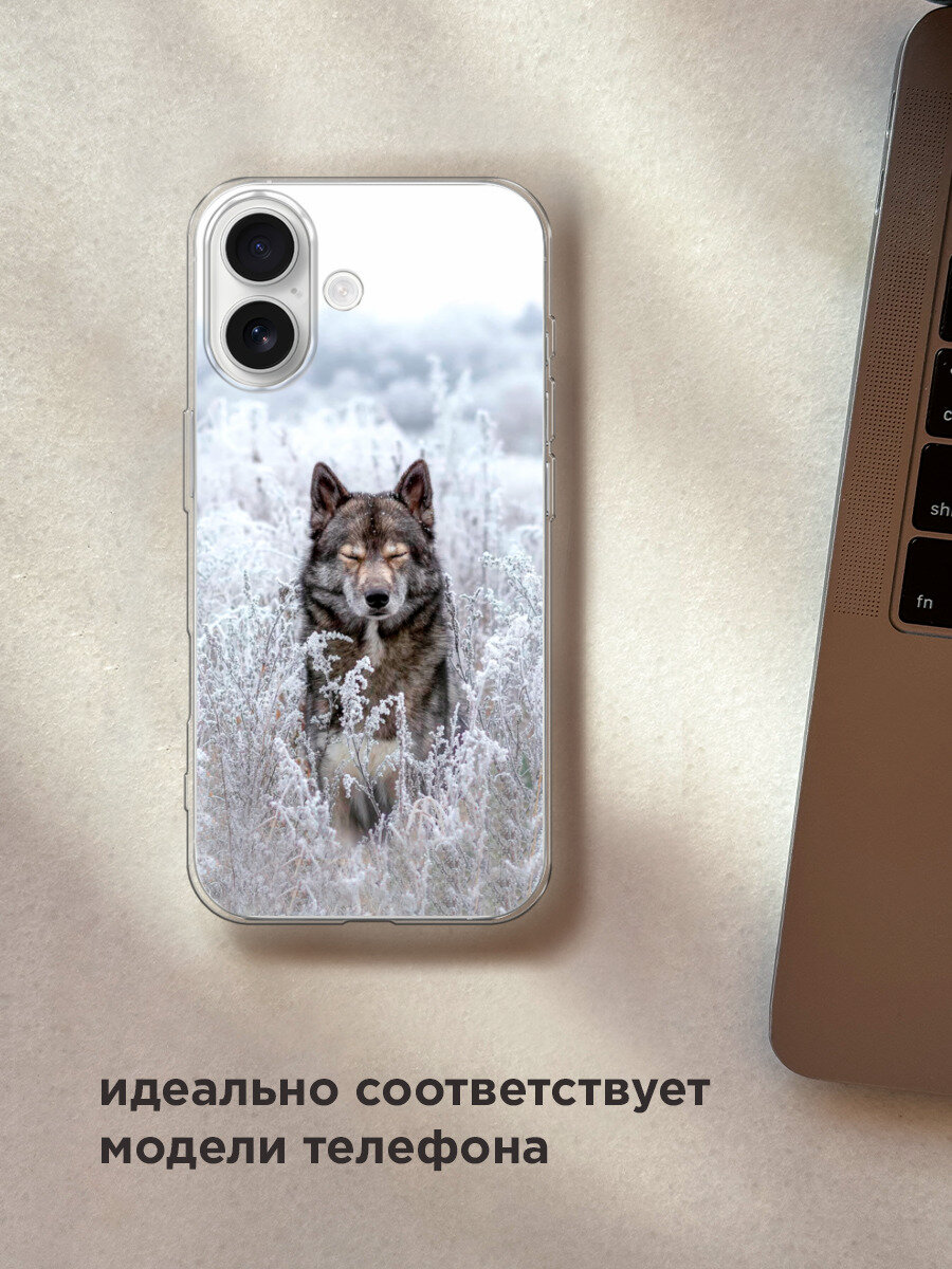 Силиконовый чехол на Apple iPhone 17 / Айфон 17 с принтом Волк в поле — фото 1