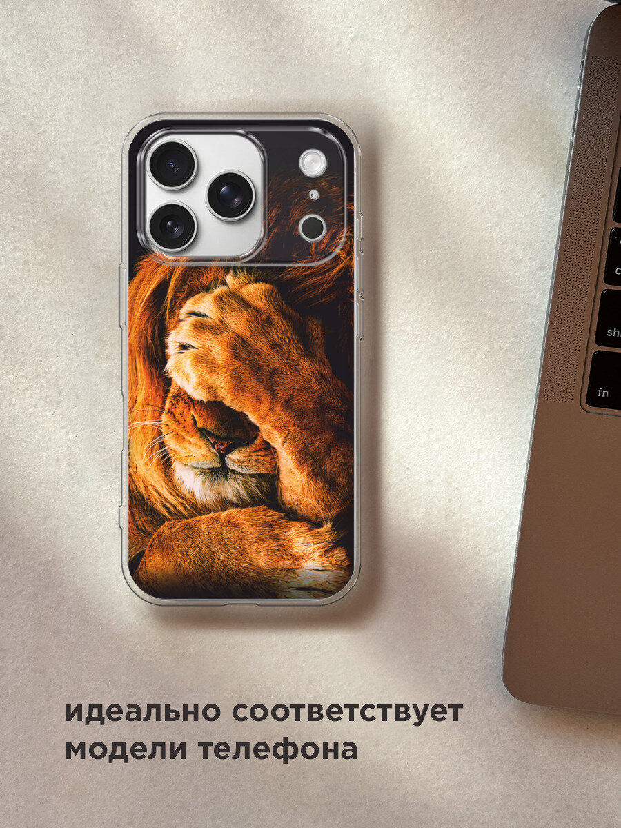 Чехол на Apple iPhone 17 Pro / Айфон 17 Про с принтом Львиный стыд — фото 1