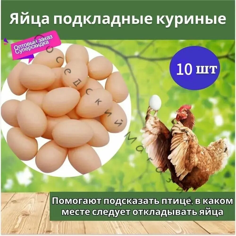 Яйцо подкладное куриное ( муляж) 10 шт