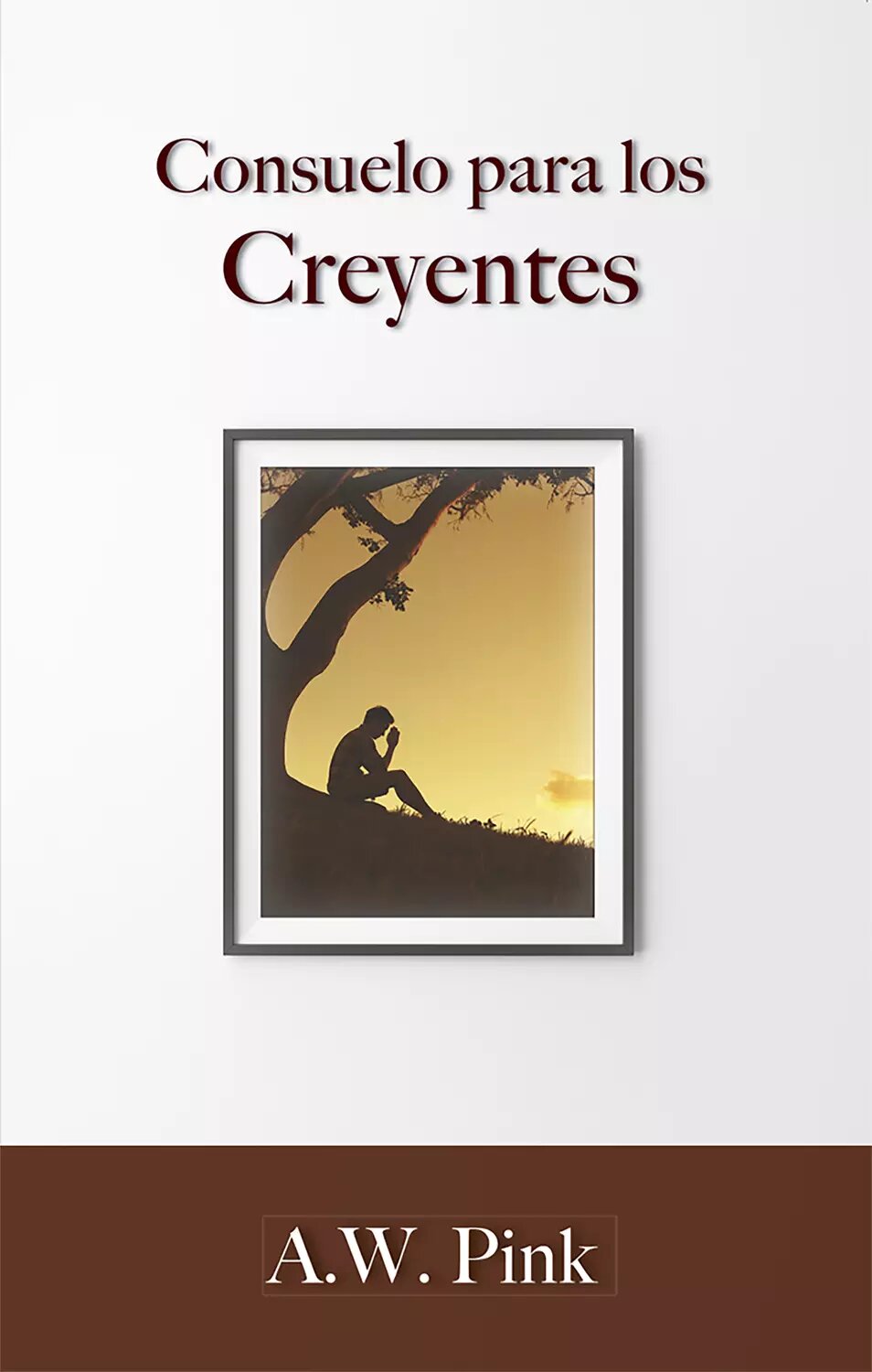 Consuelo para los creyentes [Цифровая книга]