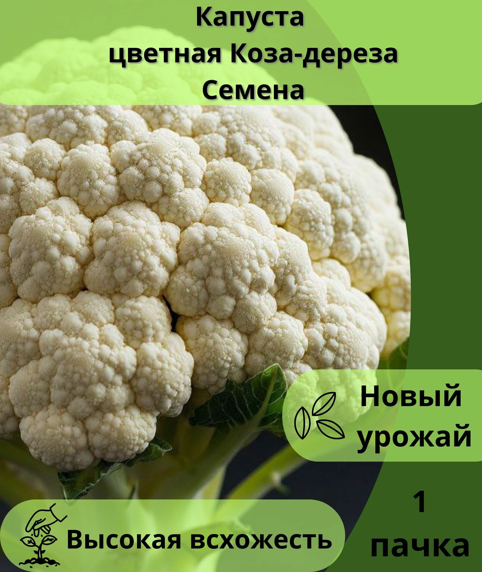 Капуста цветная Коза-дереза семена 10шт