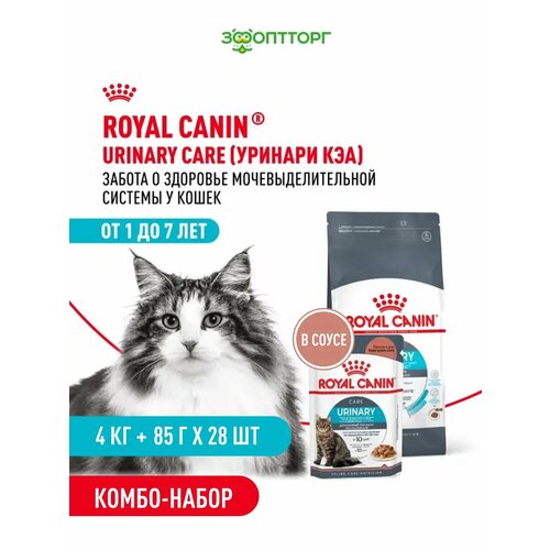 фото Комбо-набор royal canin сухой+влажный корм для профилактики мкб у кошек, 4 кг + 85 г х 28 шт.