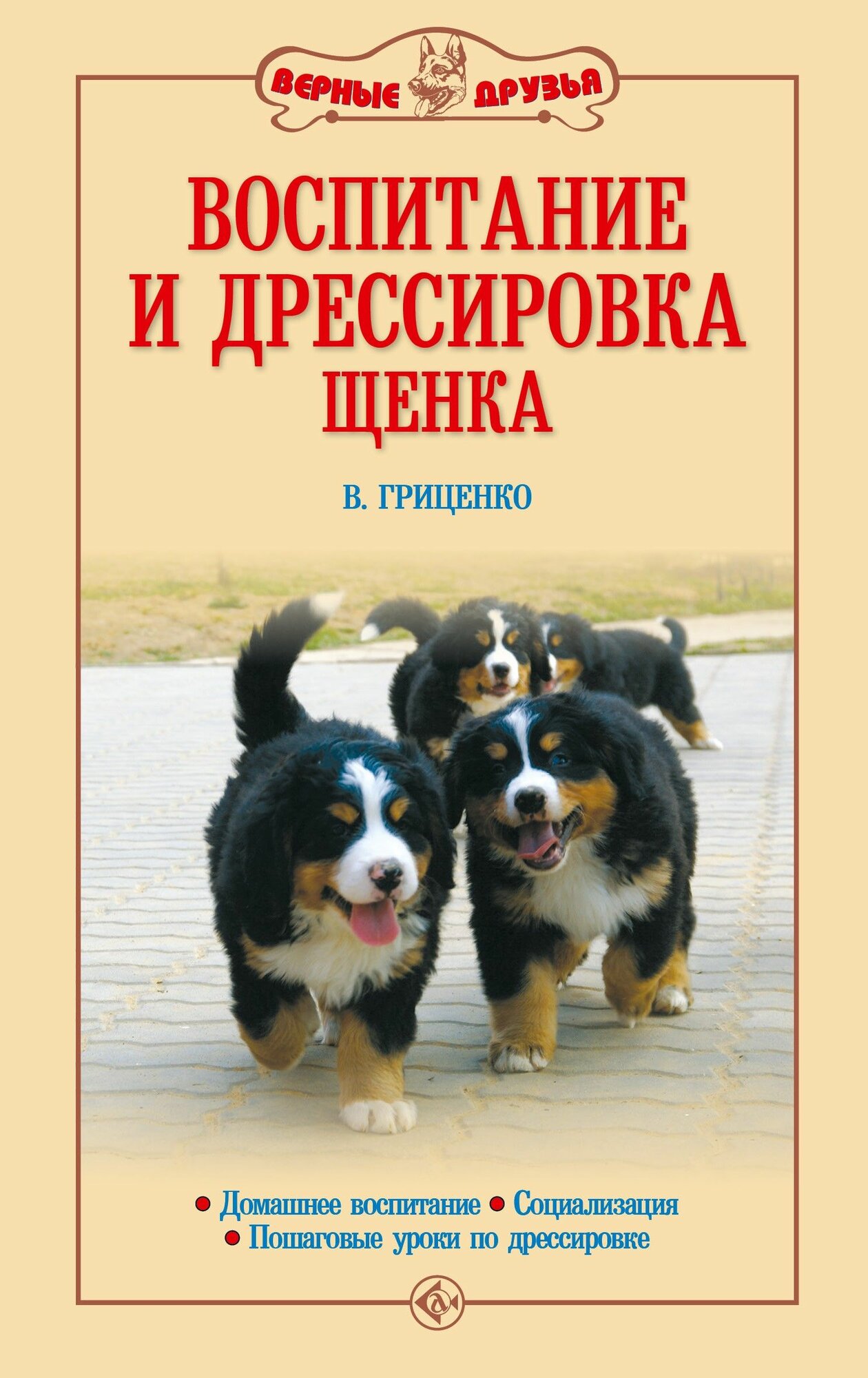 Воспитание и дрессировка щенка