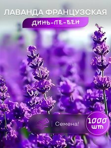 Основная фотография от вендора