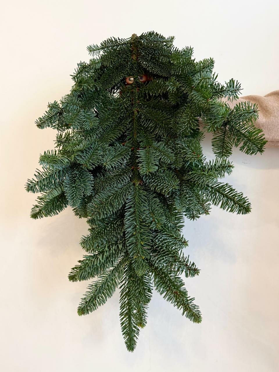 Ветки пихты Нобилис упаковка 3 шт