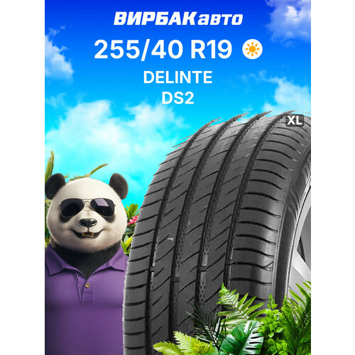 Летние шины DELINTE DS2 255/40 R19 100W XL