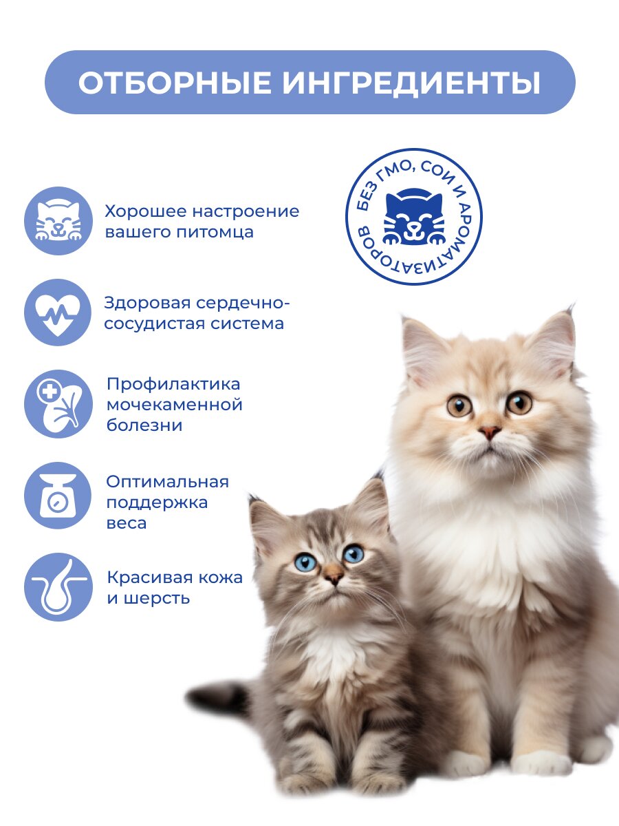 Картинки Комбо-набор Jarvi лакомства для кошек: крем-суп четыре вкуса для кошек, 15 г х 48 шт.