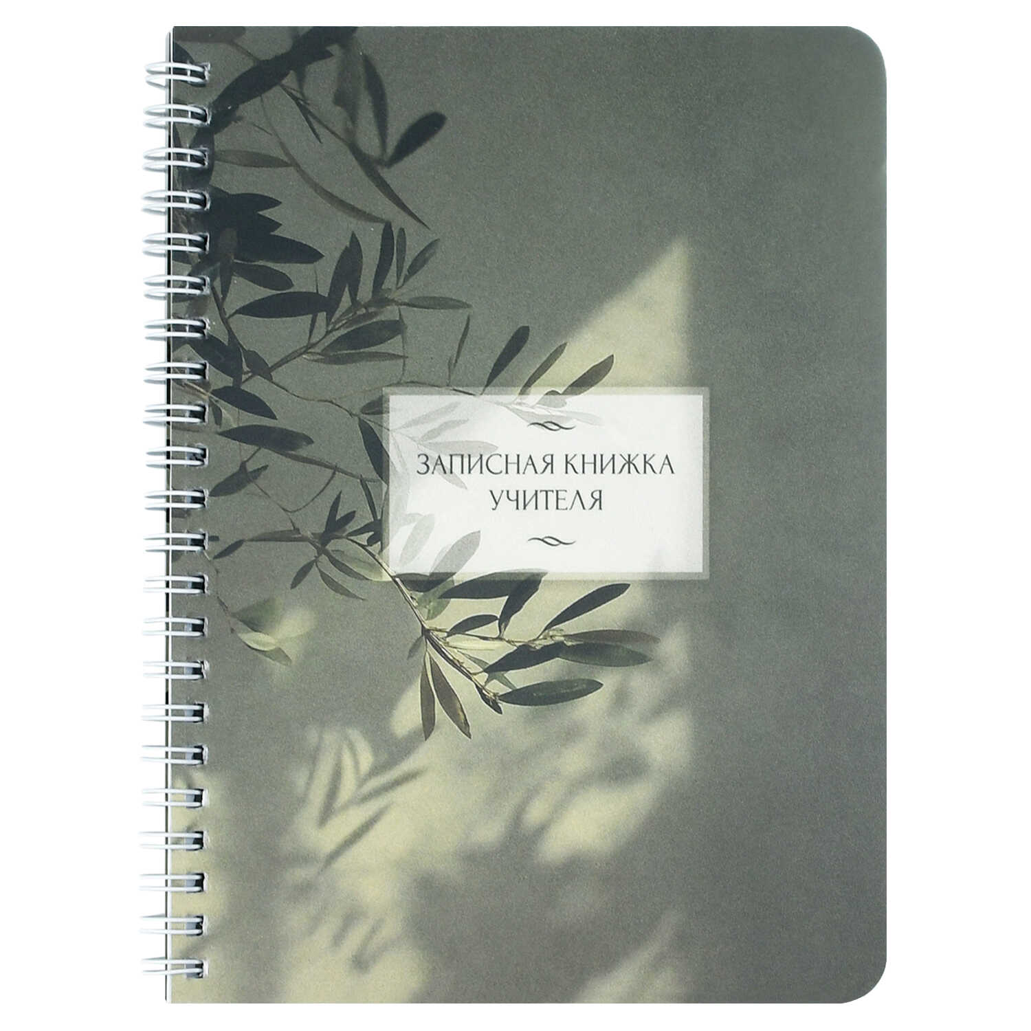 Записная книга учителя преподавателя арт. 72634 ветка эвкалипта / А5 64 л гребень по длинной сто