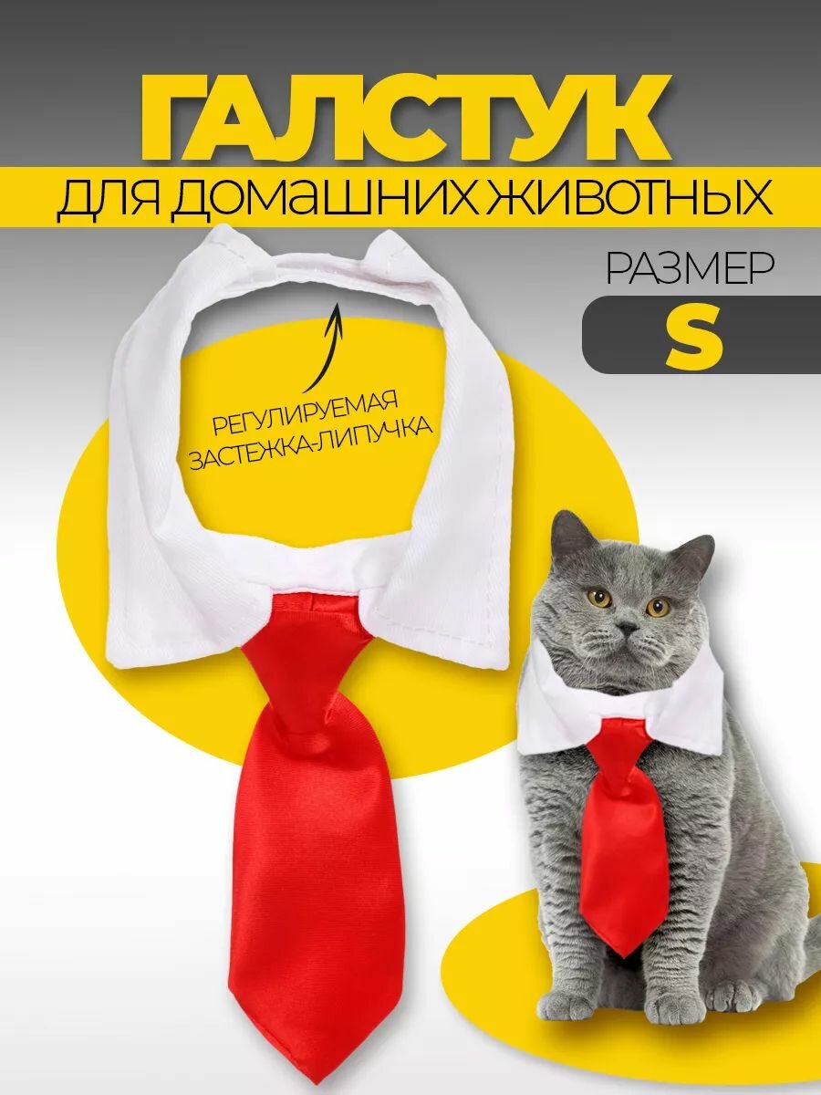 Ошейник с галстуком для животных