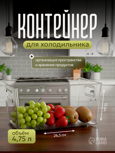 Изображение товара Контейнер для холодильника, органайзер для продуктов RICCO, 4,75 л, цвет прозрачный