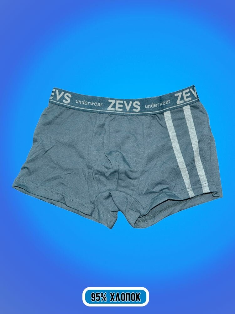 Трусы Zevs, 2 шт., размер L, синий — фото 1