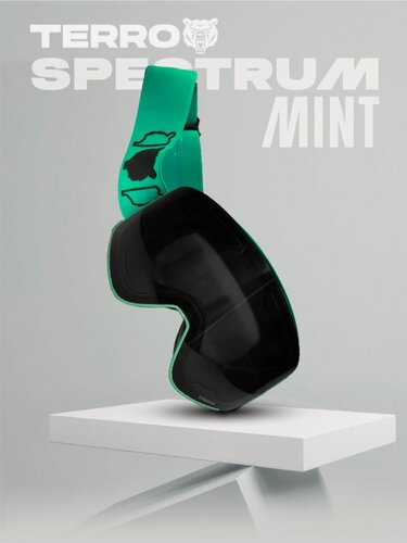 Изображение товара Маска горнолыжная SPECTRUM Mint