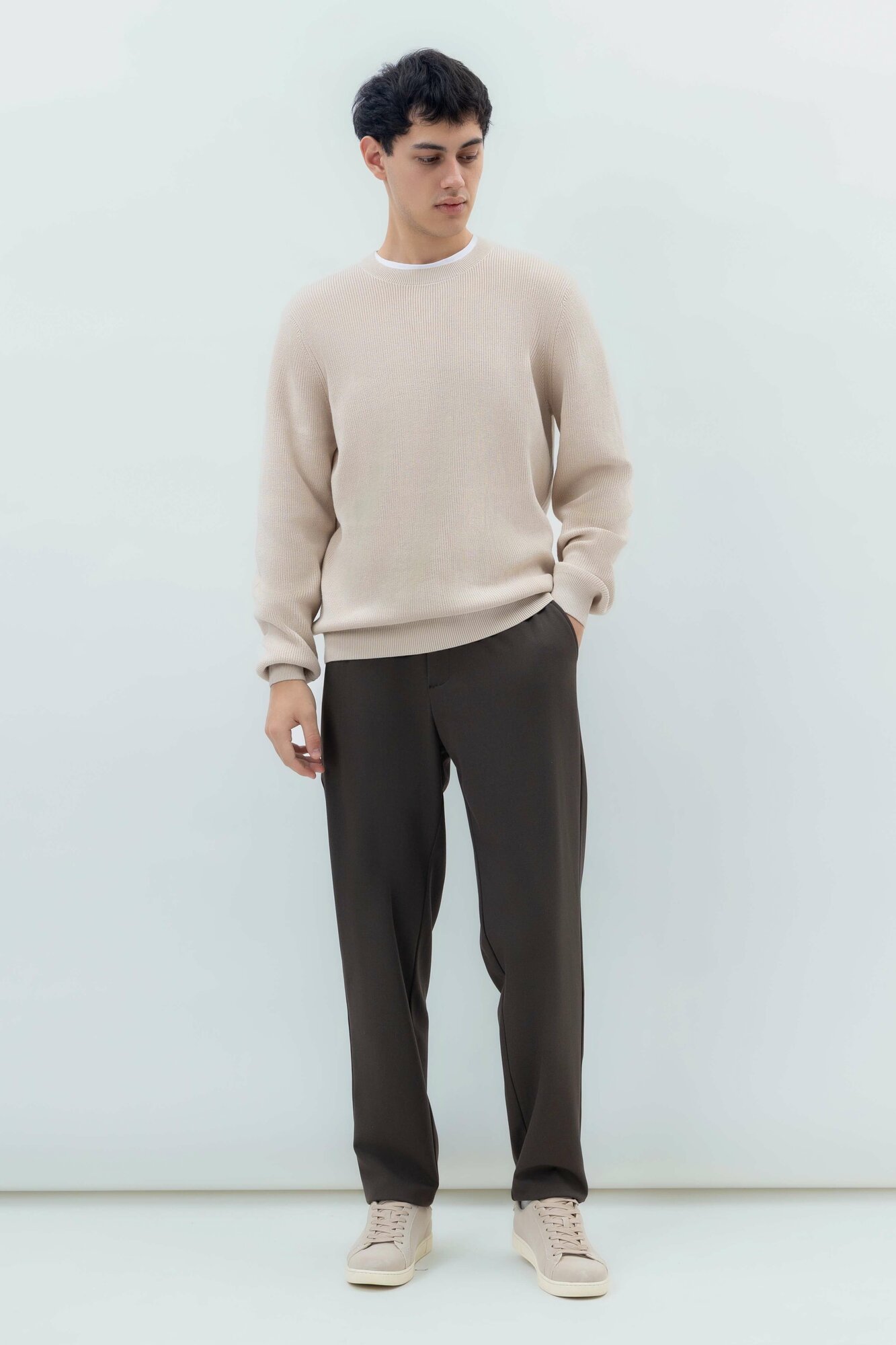 Брюки классические TERRA PRO, размер 30, brown