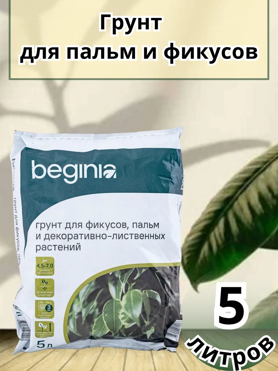 Грунт BEGINIA для фикусов и пальм 5 л