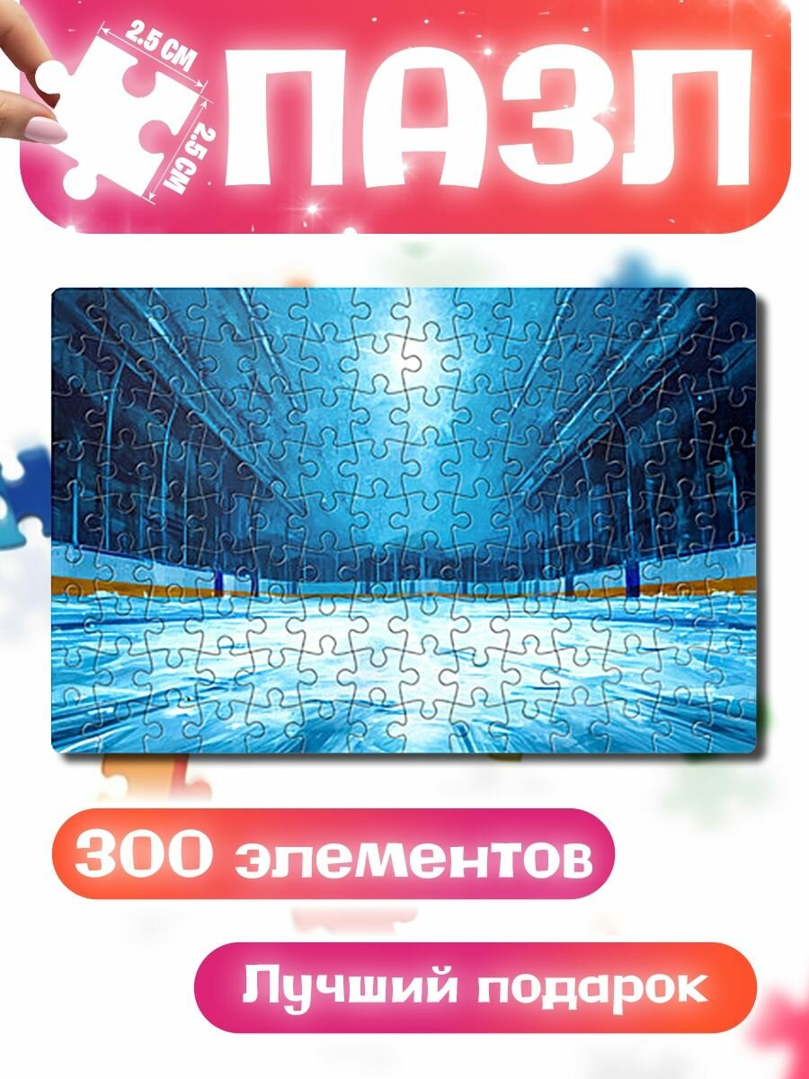 Пазлы для детей и взрослых Хоккейная площадка