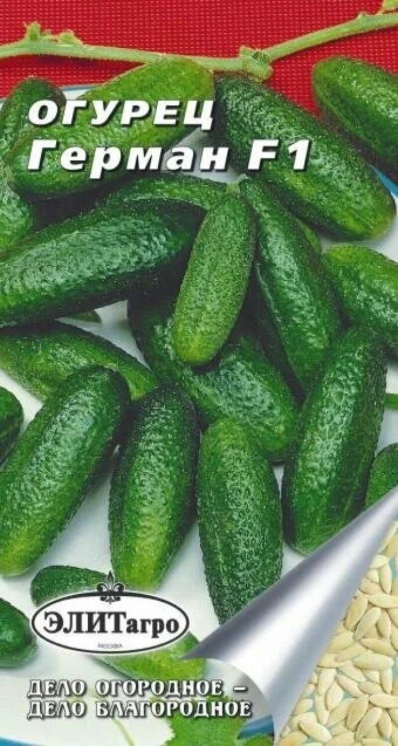 Семена Огурец Герман F1 (5 семян) раннеспелый для открытого и закрытого грунта