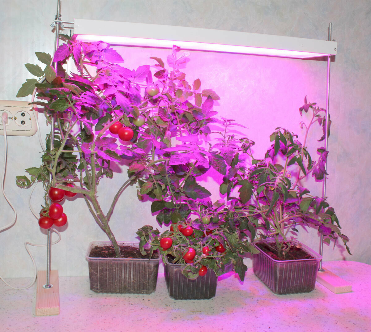 Светодиодный фитосветильник для растений Солнцедар Фито Д 30