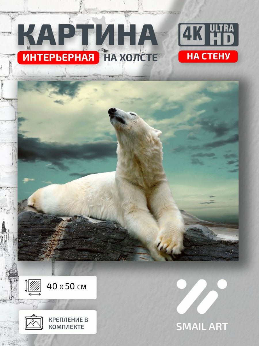Картина на холсте интерьерная 40 на 50 на стену Арктика Animal для детской animal style