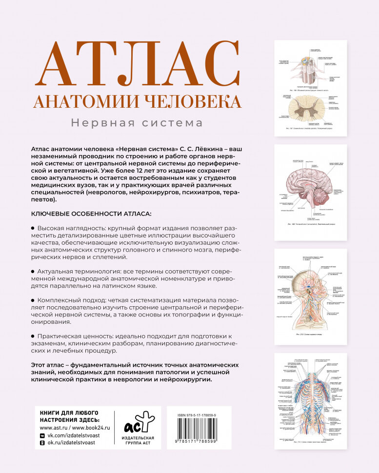 Атлас анатомии человека. Нервная система — фото 1