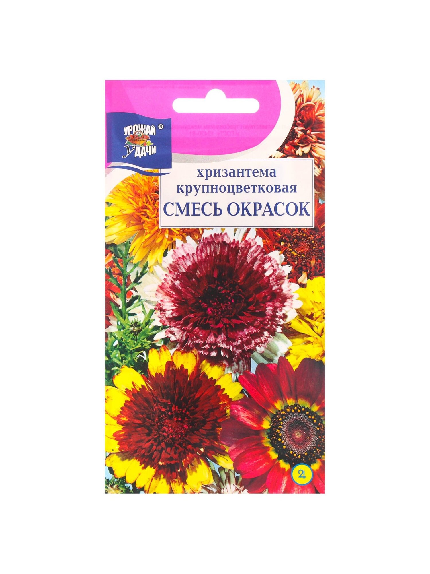 Набор семян Хризантема многолетняя 