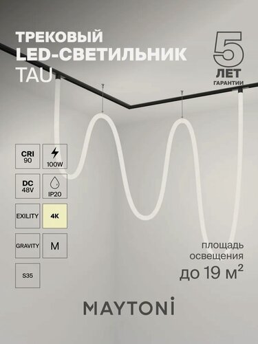 Изображение товара Трековый подвесной светильник Maytoni Technical Tau TR101-2-100W4K-B