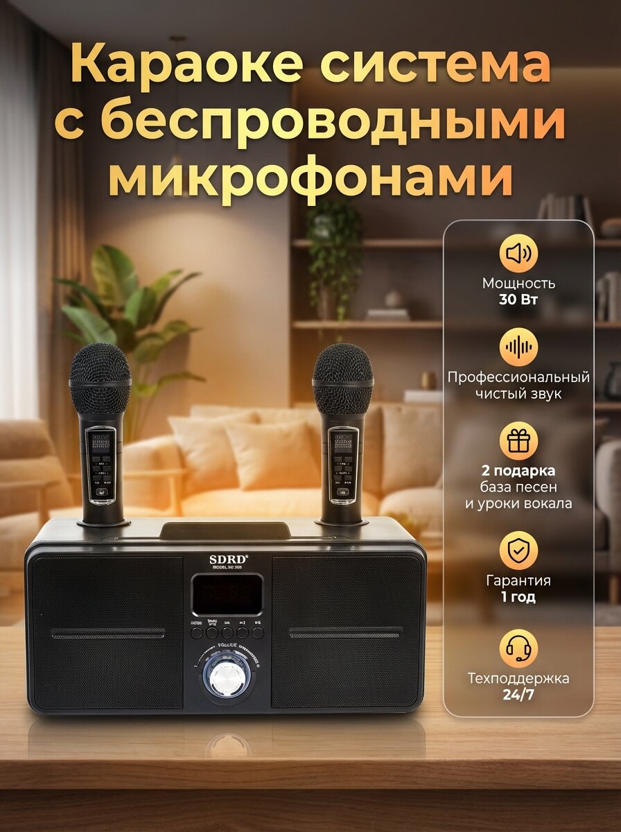 Караоке система с двумя беспроводными микрофонами "SD-309" черная