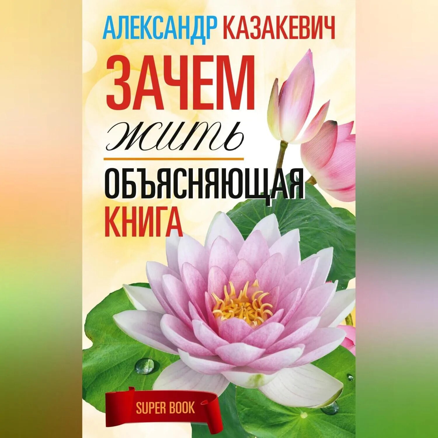 Зачем жить. Объясняющая книга [Аудиокнига]