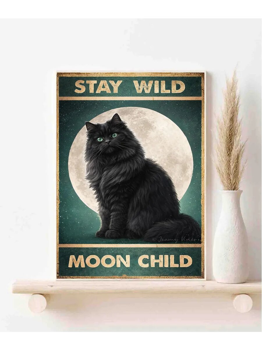 Британская длинношёрстная кошка, Stay Wild Moon Child, Плак