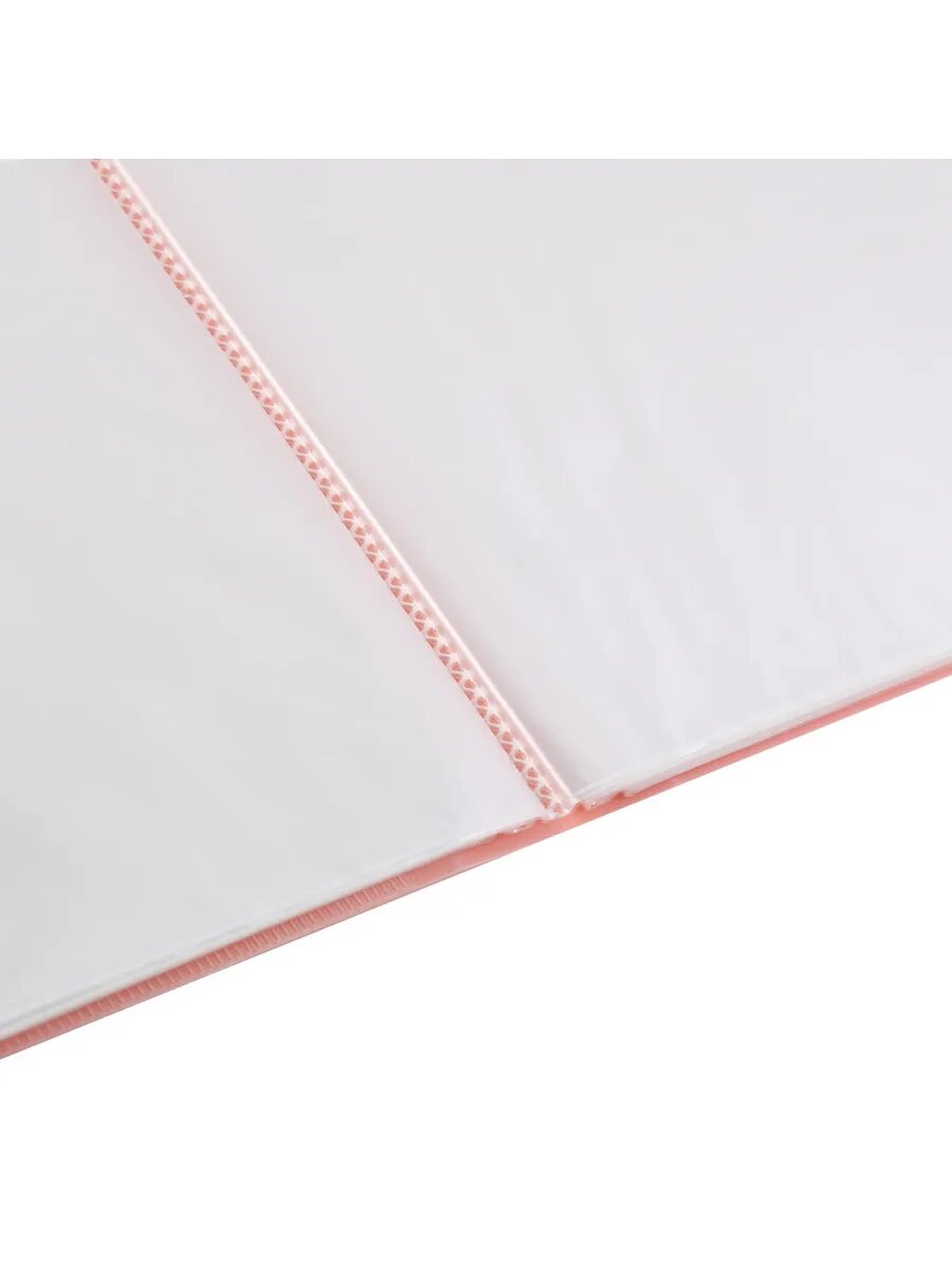 Папка с файлами А4 100л — фото 1