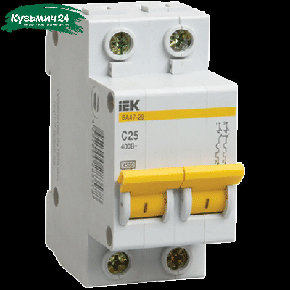 Автомат IEK 2Р С6А