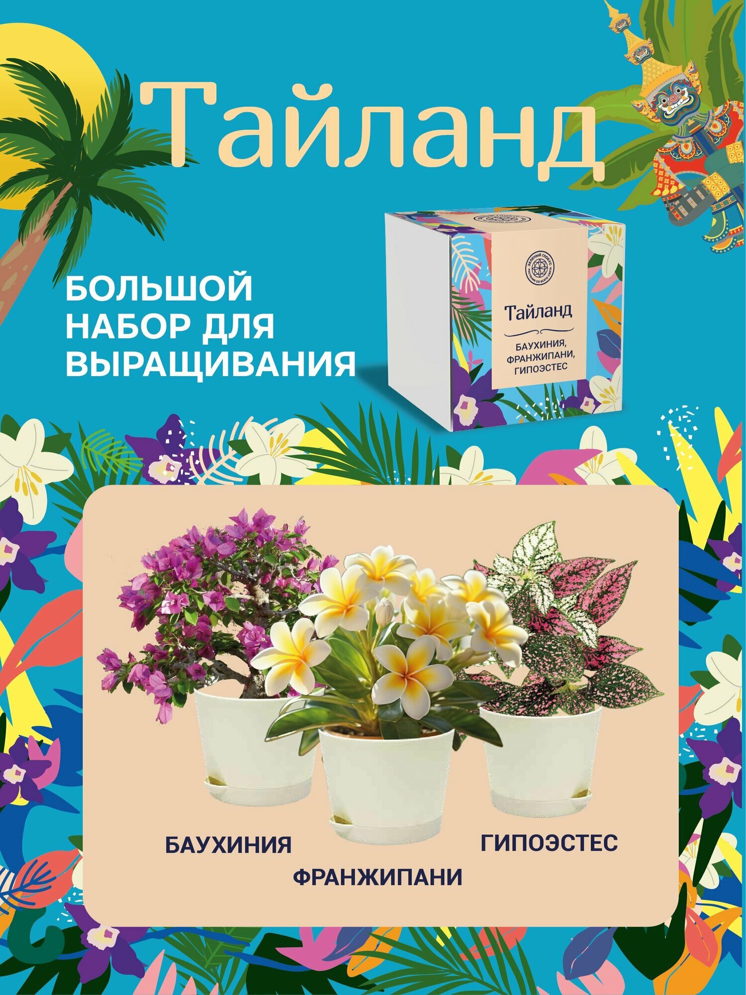 Набор для выращивания растений Зеленый глобус "Тайланд. Баухиния, Франжипани, Гипоэстес."