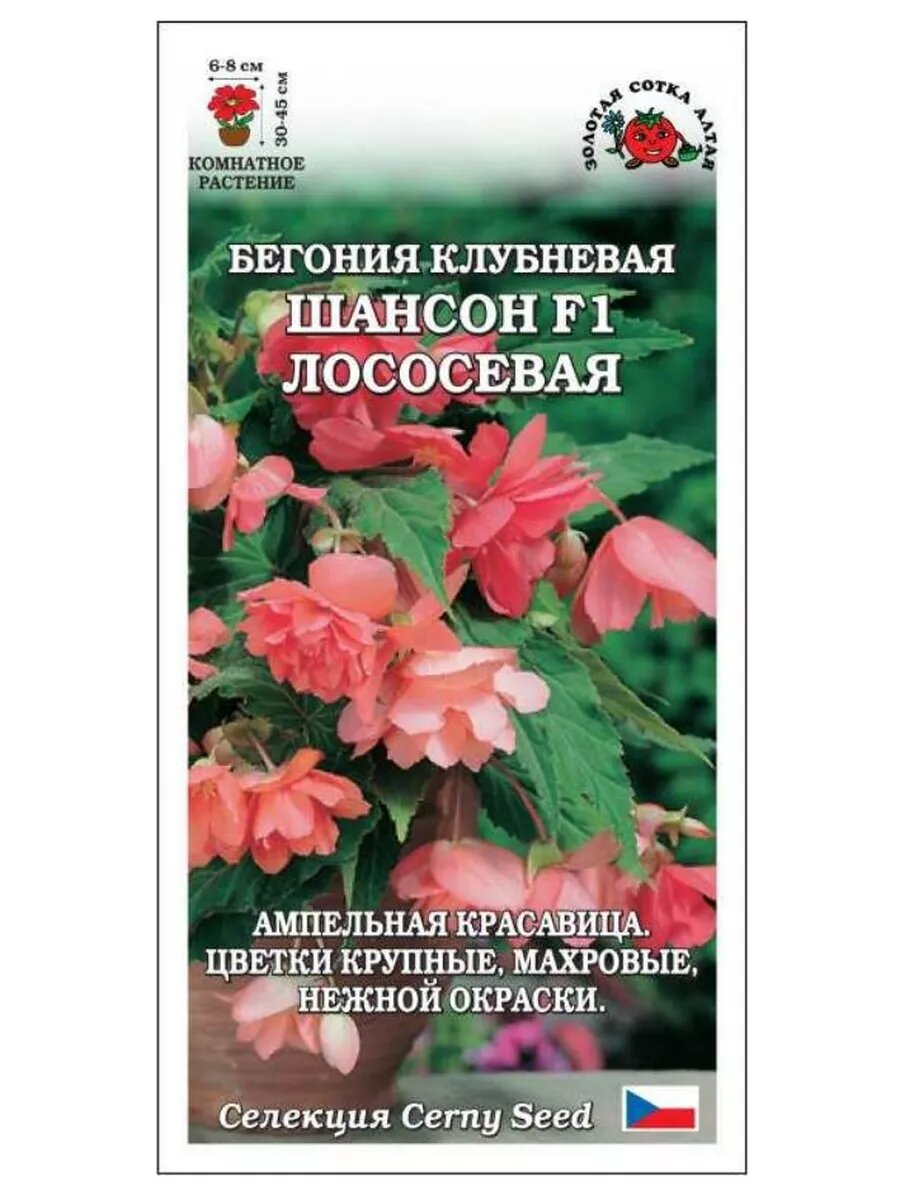 Бегония Шансон F1 Лососевая 5шт.