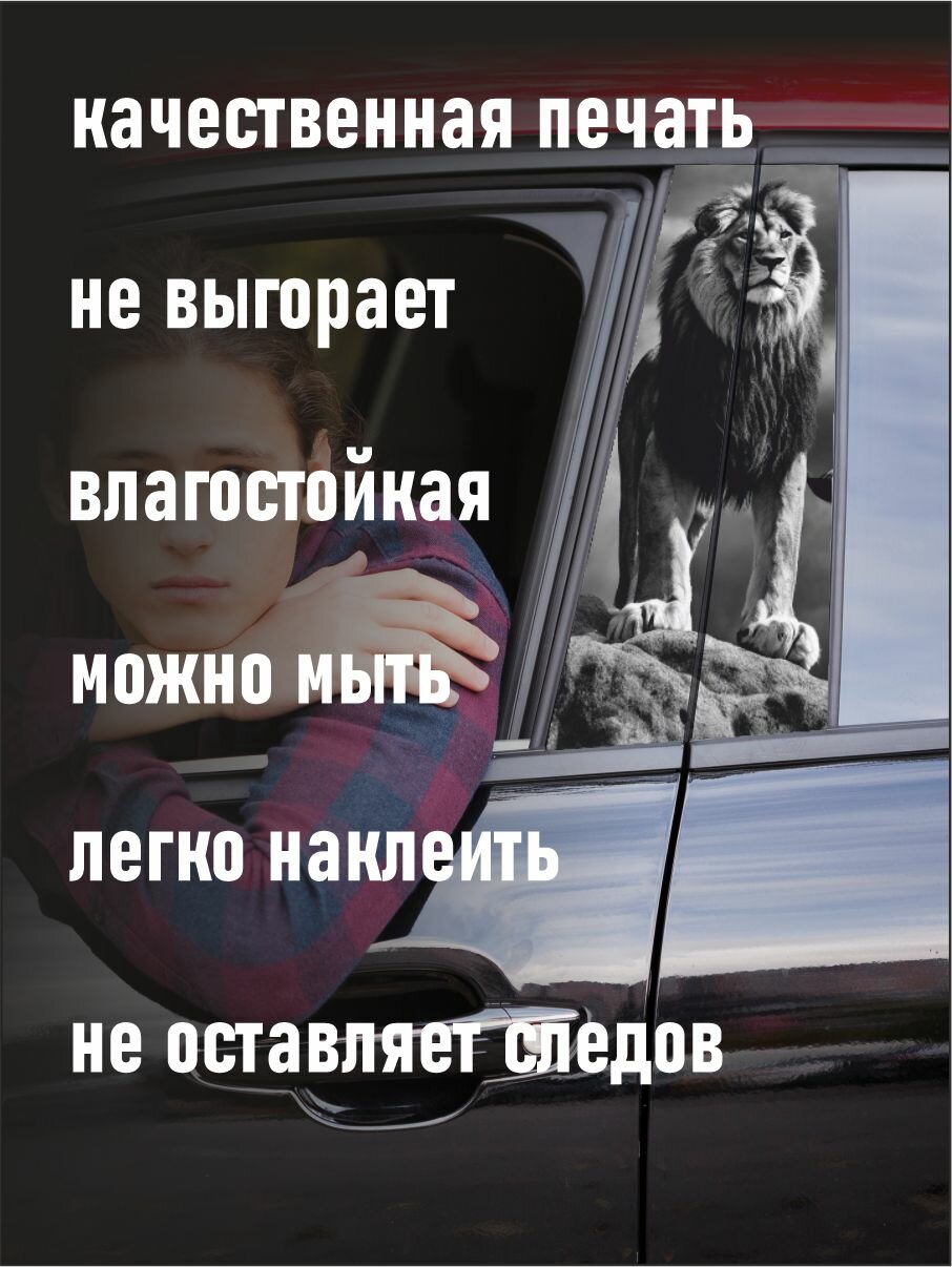 Наклейки на стойки авто - Лев — фото 1