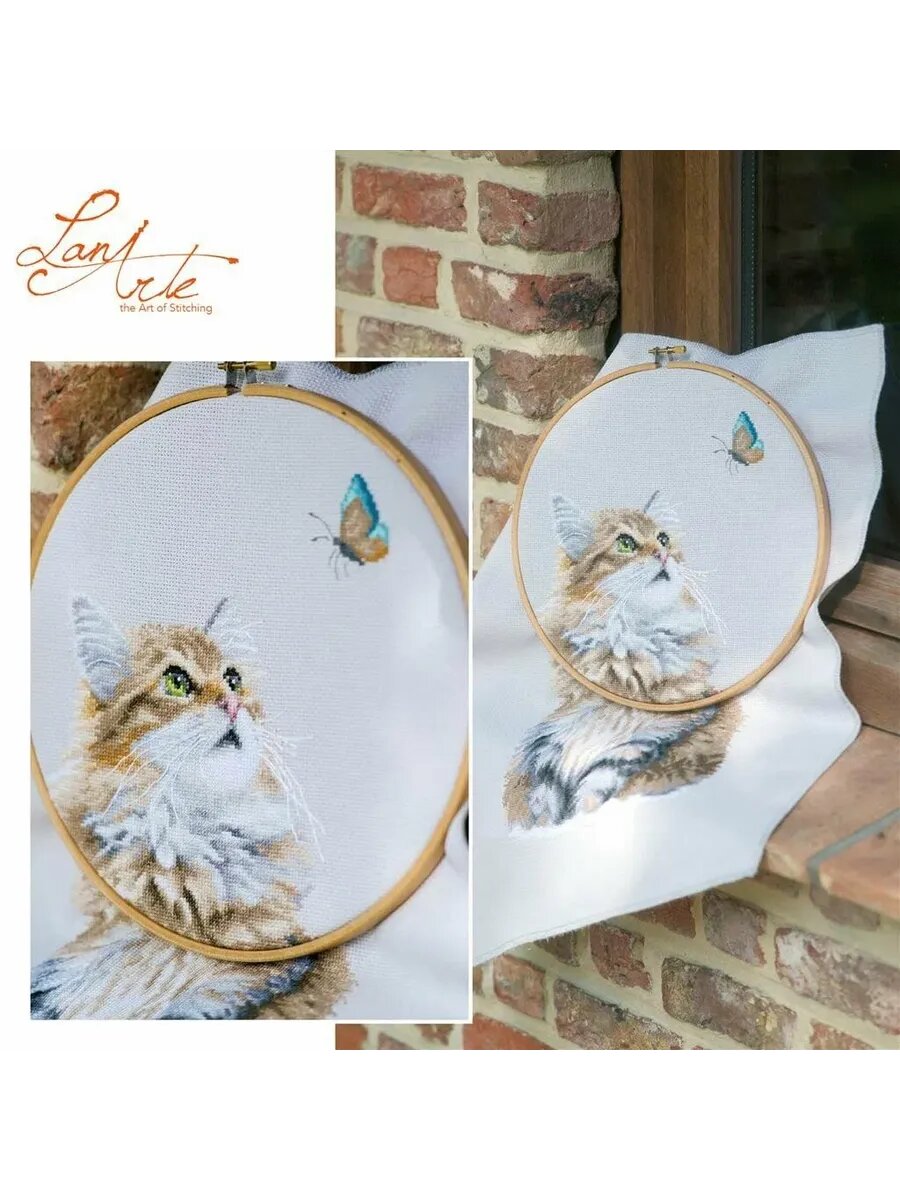 Набор для вышивания крестиком Кот 16 СТ — фото 1