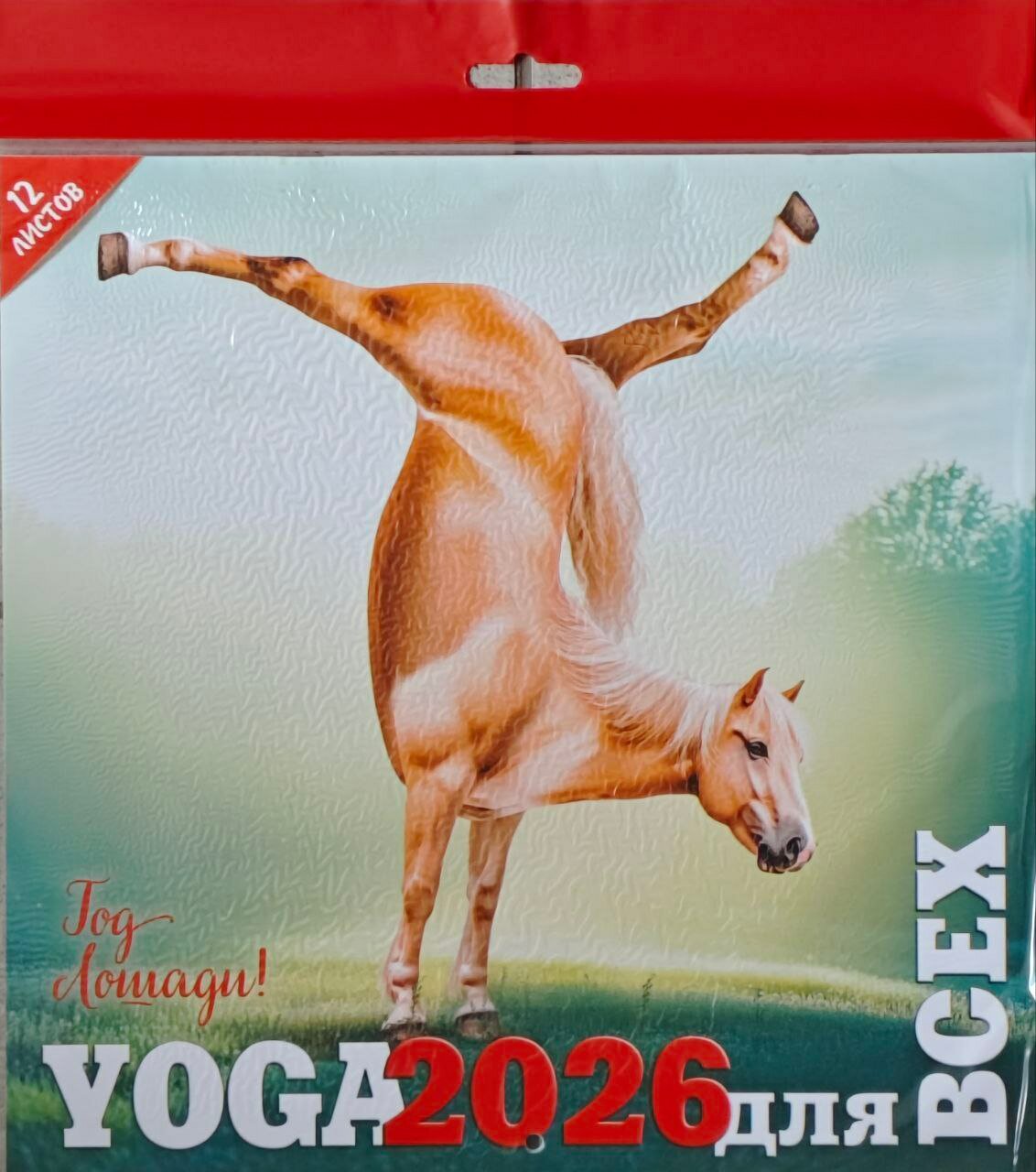 Календарь 2026 год YOGA для всех 12 листов (295х295мм)55612