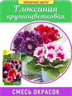 Семена Глоксиния крупноцветковая смесь окрасок Цветущий сад